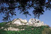 Popular with climbers, Seneca Rocks was used during World War II to train troops before the invasion of Italy.